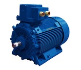 Marelli Motori Non-Sparking Motors