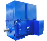 Marelli Motori TEWAC Low & High Voltage Motors